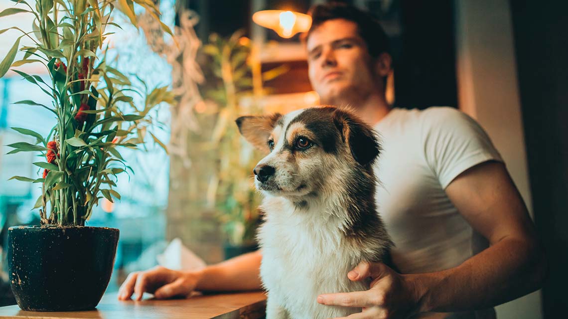 5 Restaurantes pet friendly en CDMX